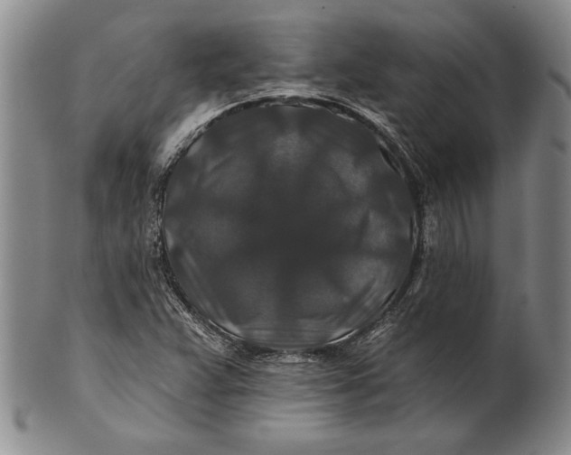 X0000100751359200807101653