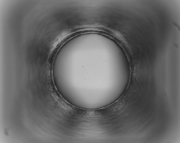 X0000100751360200807101653