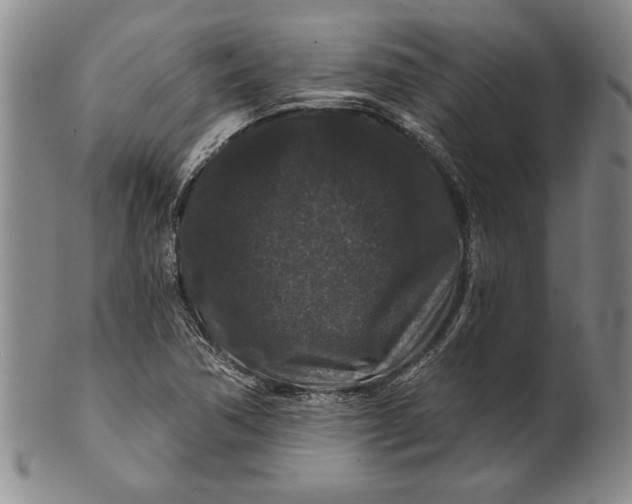 X0000100751362200807101653