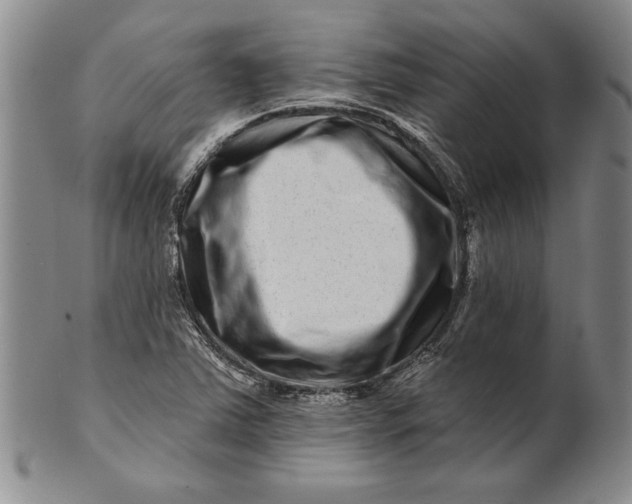 X0000100751363200807101653