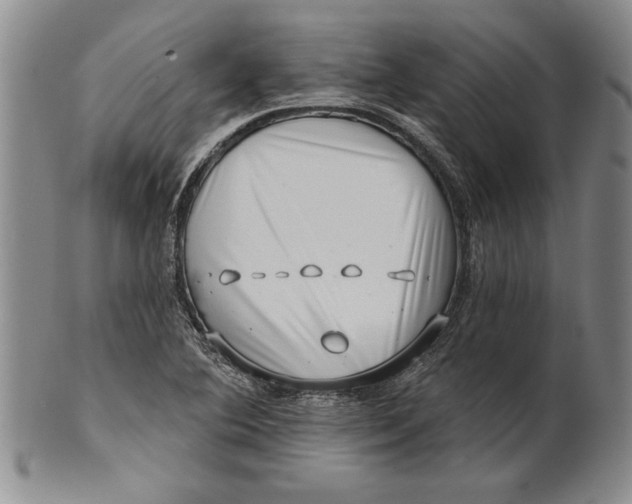 X0000100751364200807101653