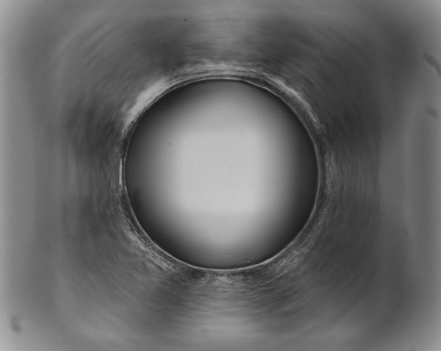 X0000100751365200807101653