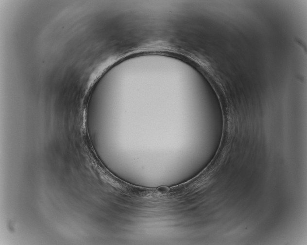 X0000100751366200807101653