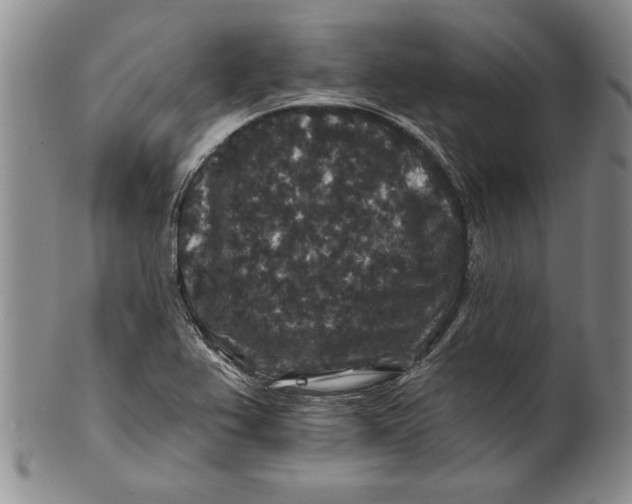 X0000100751367200807101653