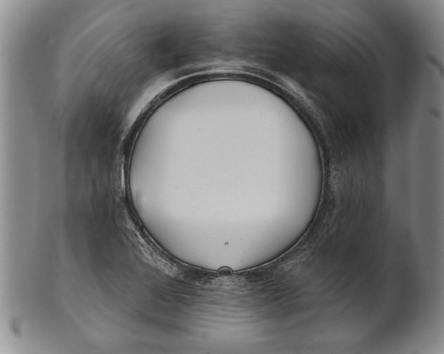 X0000100751368200807101653