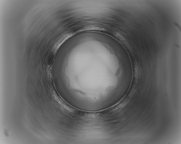 X0000100751369200807101653