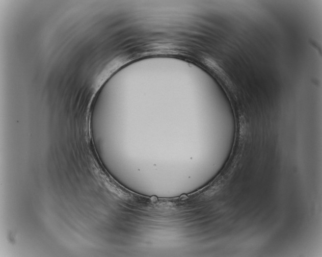 X0000100751370200807101653