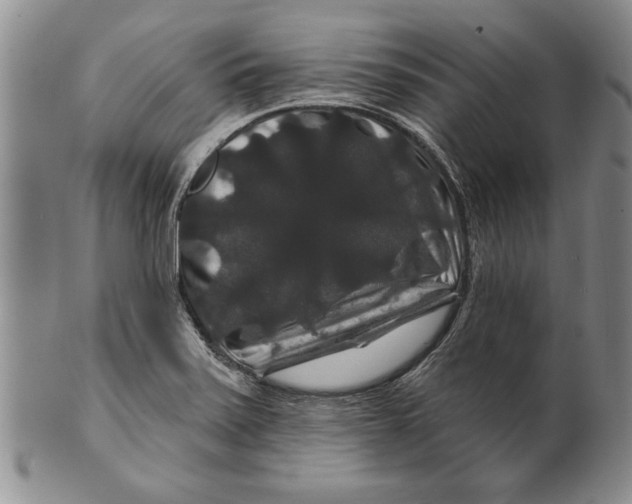 X0000100751371200807101653