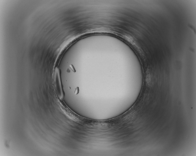 X0000100751372200807101653