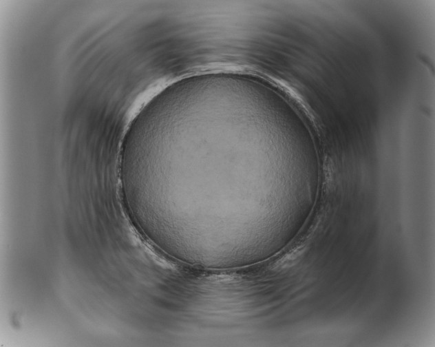 X0000100751373200807101653