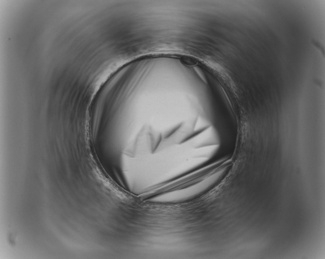 X0000100751374200807101653