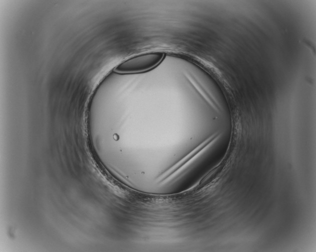 X0000100751375200807101653