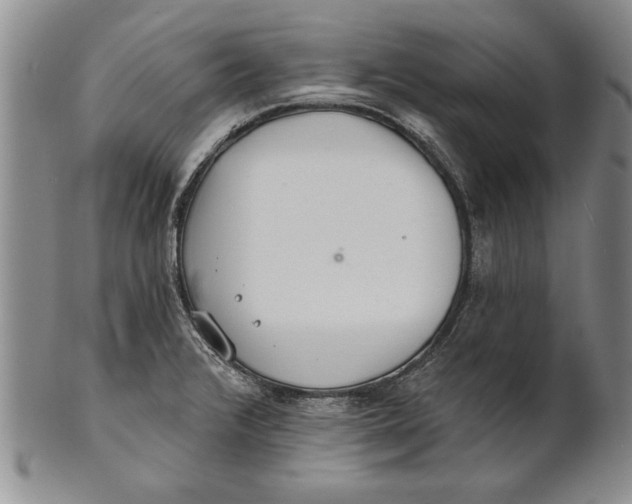 X0000100751376200807101653