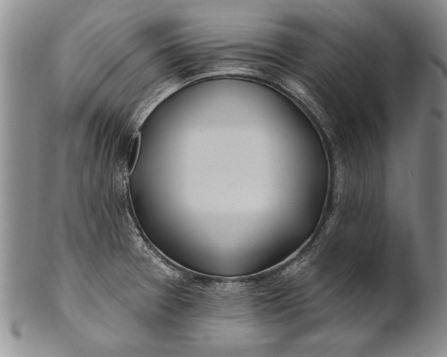 X0000100751377200807101653