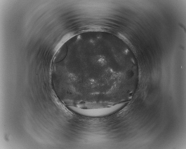 X0000100751378200807101653