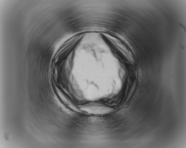 X0000100751379200807101653