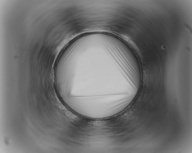 X0000100751380200807101653