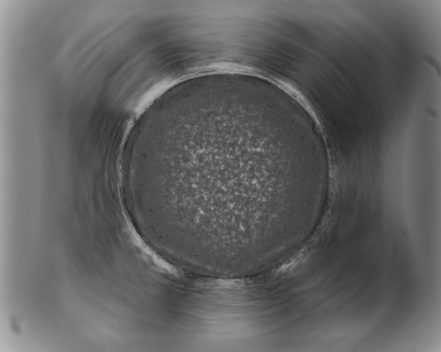 X0000100751381200807101653