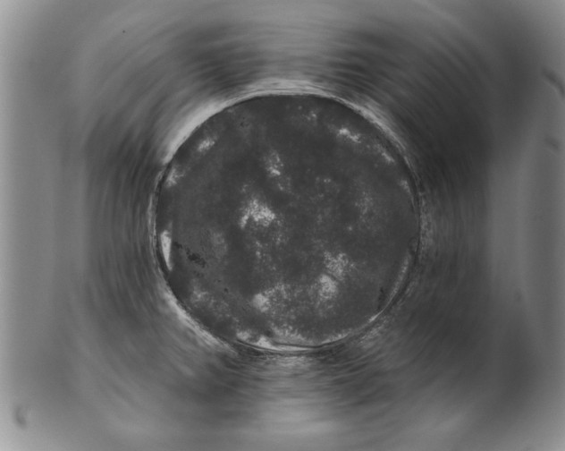 X0000100751382200807101653