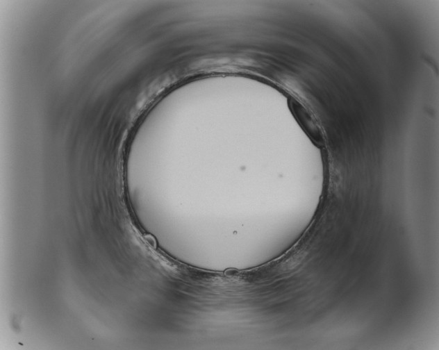 X0000100751384200807101653