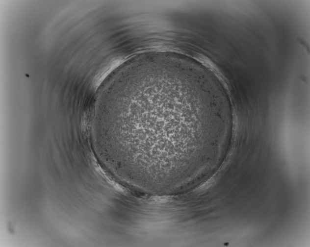 X0000100751385200807101653