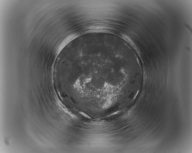 X0000100751386200807101653