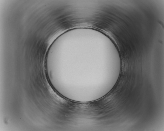 X0000100751387200807101653