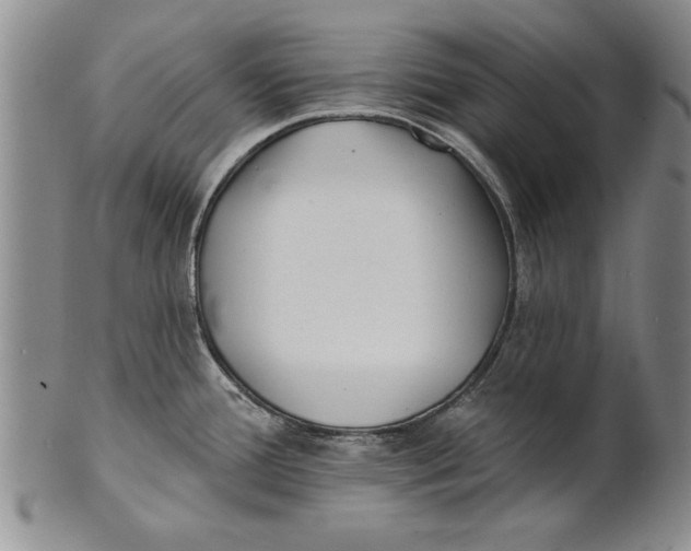 X0000100751388200807101653