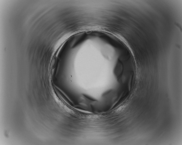 X0000100751389200807101653