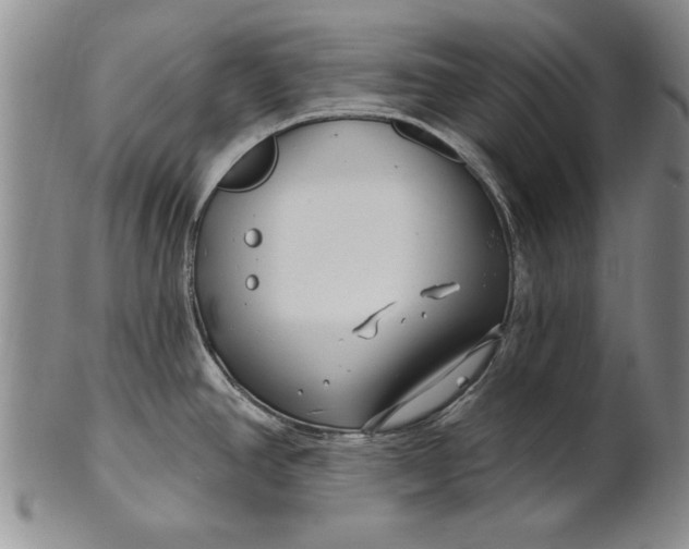 X0000100751390200807101653