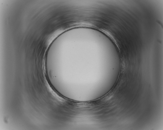 X0000100751391200807101653