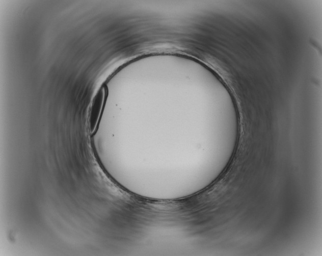 X0000100751392200807101653