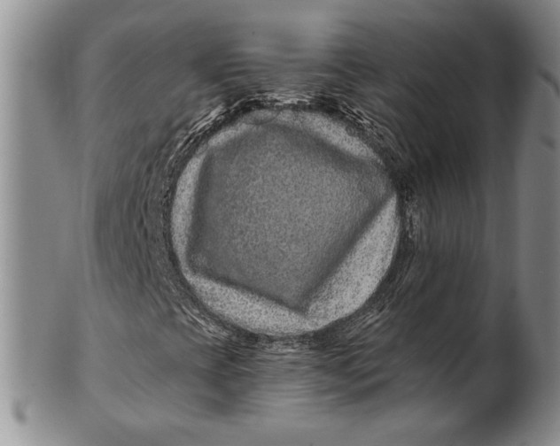 X0000100751393200807101652