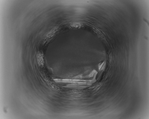 X0000100751394200807101652