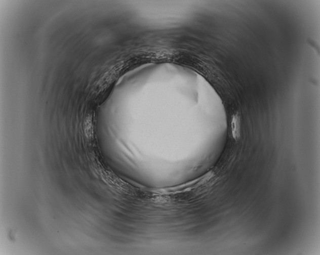 X0000100751395200807101652