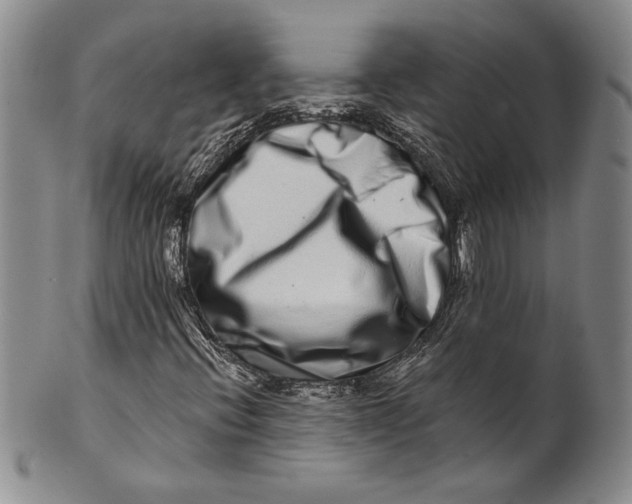 X0000100751396200807101652