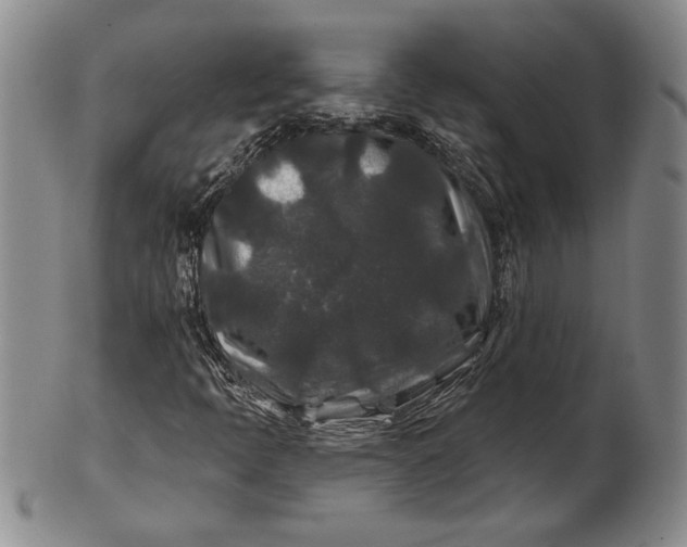 X0000100751397200807101652