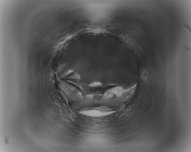 X0000100751398200807101652