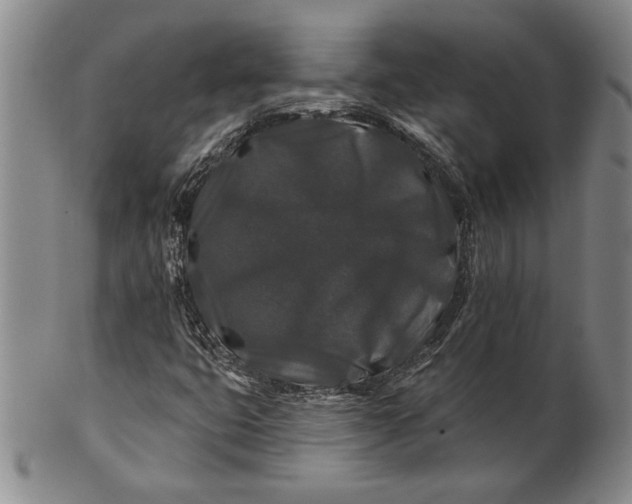 X0000100751399200807101652