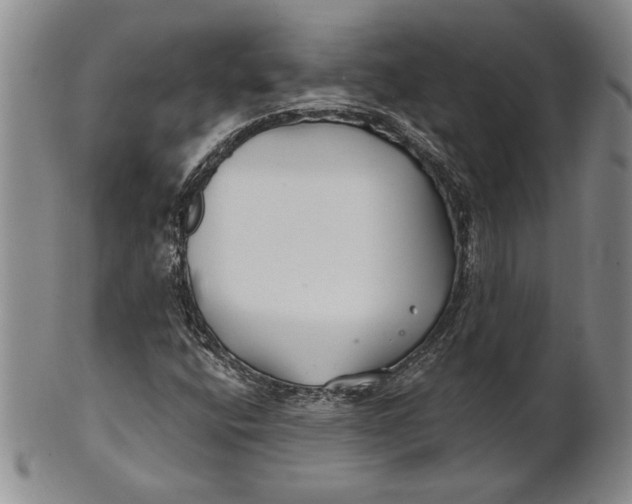 X0000100751400200807101652