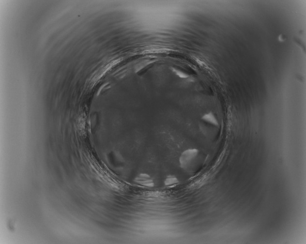 X0000100751401200807101652