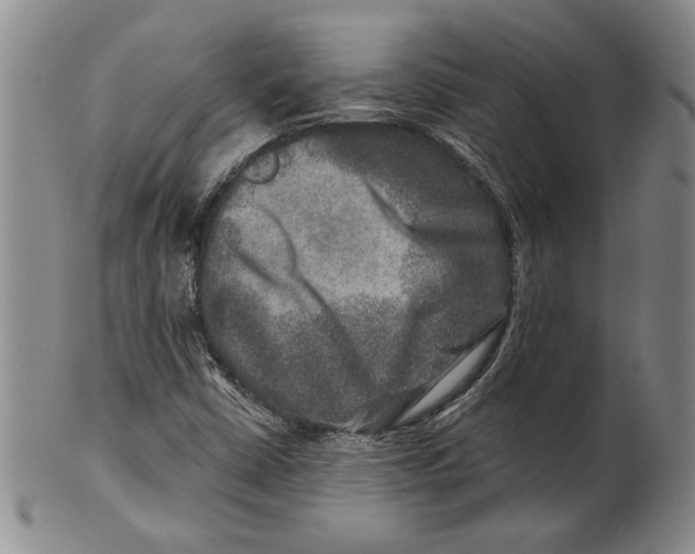 X0000100751402200807101652