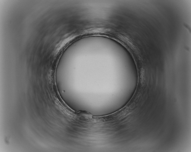 X0000100751404200807101652