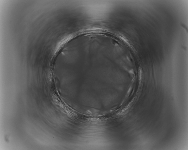 X0000100751405200807101652