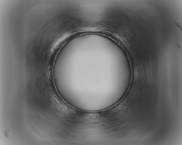 X0000100751406200807101652