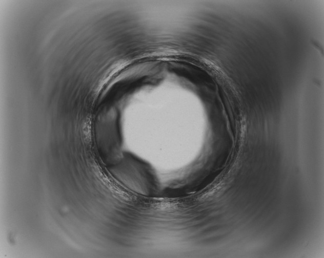 X0000100751409200807101652