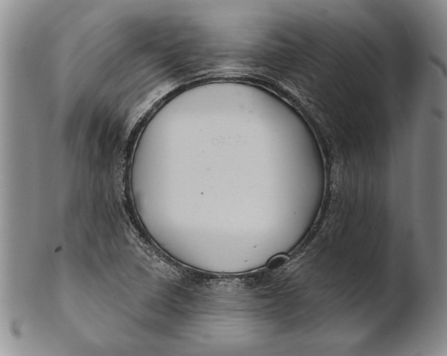 X0000100751410200807101652