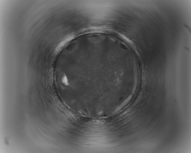 X0000100751411200807101652