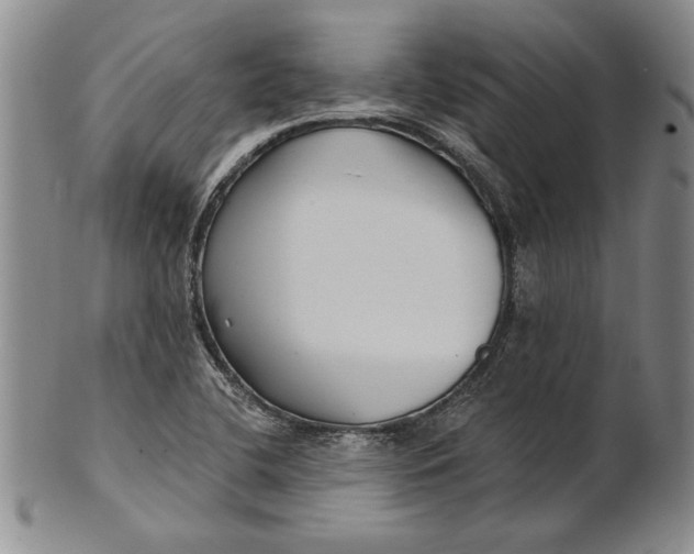 X0000100751412200807101652