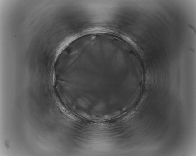 X0000100751413200807101652